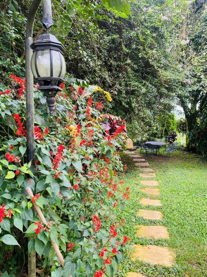 Finca Hotel Los Girasoles Montenegro Zewnętrze zdjęcie