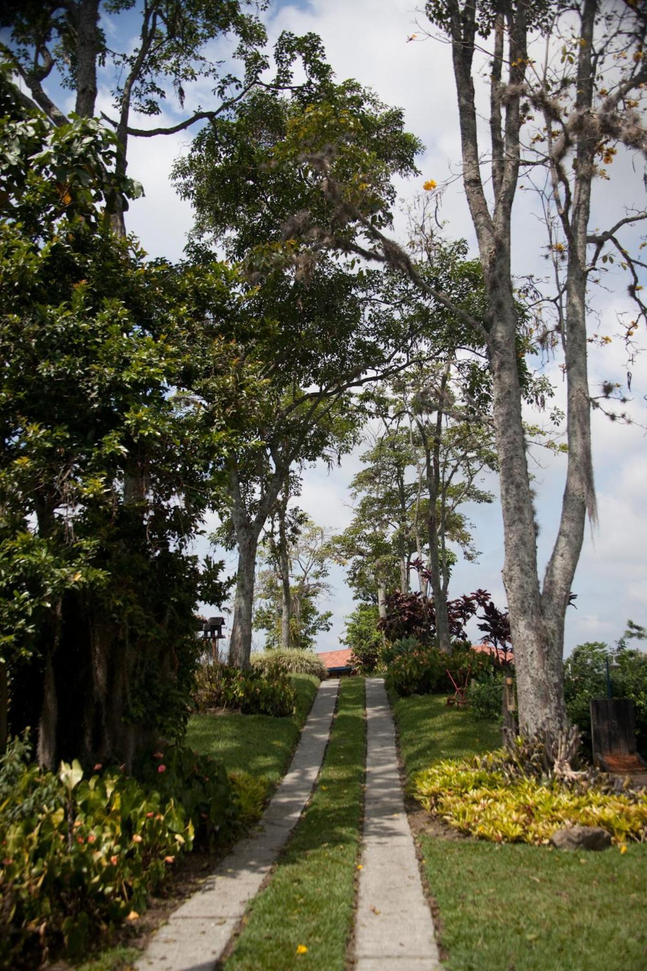 Finca Hotel Los Girasoles Montenegro Zewnętrze zdjęcie